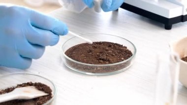 Bilimadamı laboratuarda toprak örneklerini inceliyor, yakın plan.