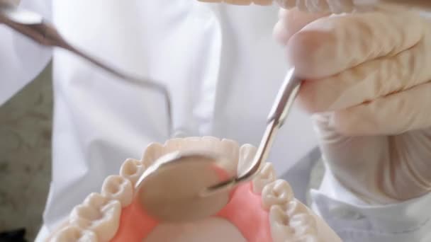Dentista Trabalhando Com Modelo Mandíbula Close — Vídeo de Stock