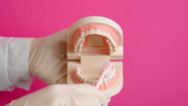 牙医展示如何在彩色背景下清洁牙齿 — 图库视频影像