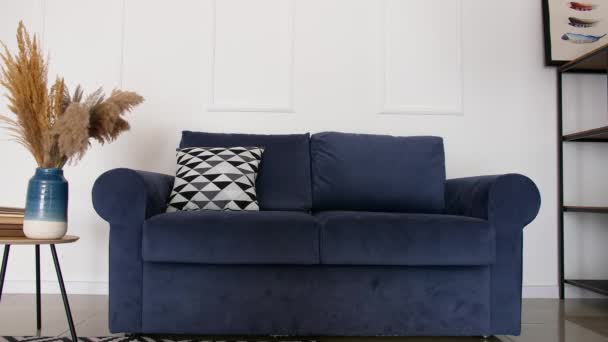 Stilvolles Sofa Mit Tisch Und Ablage Wohnzimmer — Stockvideo