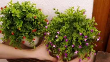 Yedek anahtarı girişteki saksıya koyan adam.