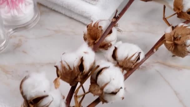 テーブルの上にきれいなタオルで綿の花 — ストック動画