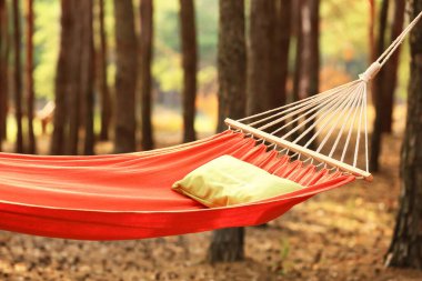 Yaz günü ormanda hamak