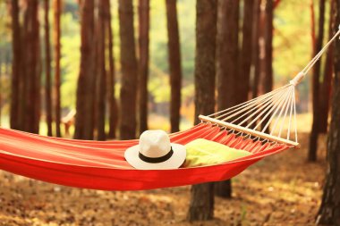 Yaz günü ormanda şapkalı bir hamak