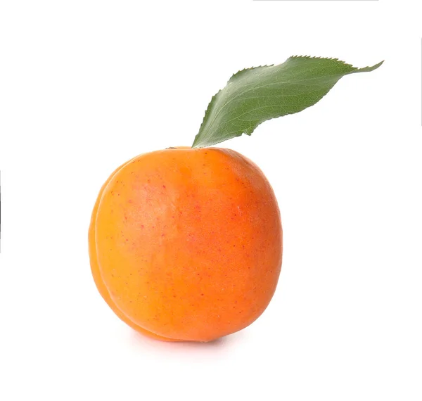 Tasty Ripe Apricot White Background — Stock Photo, Image