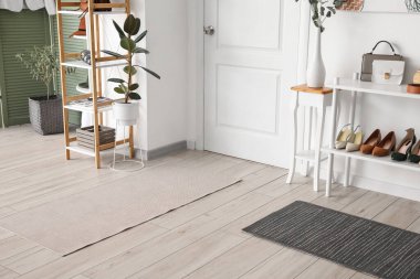 Halıları olan modern bir salon.