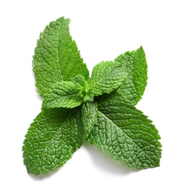 Beyaz arkaplanda taze yeşil nane