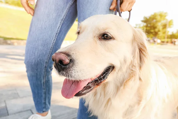 Young Woman Cute Dog Walking Outdoors — Stock Photo, Image