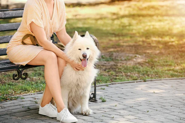 Giovane Donna Con Carino Samoyed Cane Nel Parco — Foto Stock