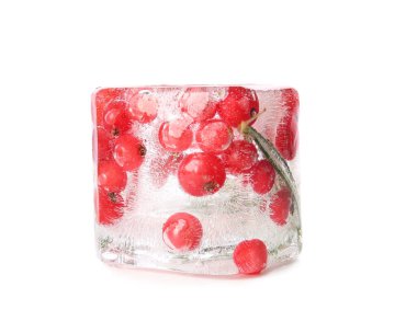 Beyaz arka planda donmuş böğürtlen