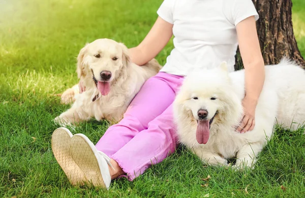 Giovane Donna Con Simpatici Cani Nel Parco — Foto Stock