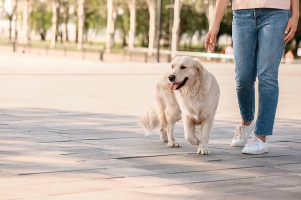 Mujer Joven Con Lindo Perro Caminando Aire Libre — Foto de Stock