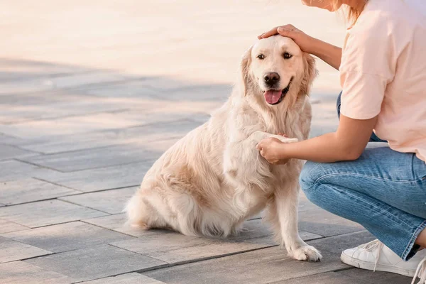 若いです可愛いです犬歩く屋外 — ストック写真