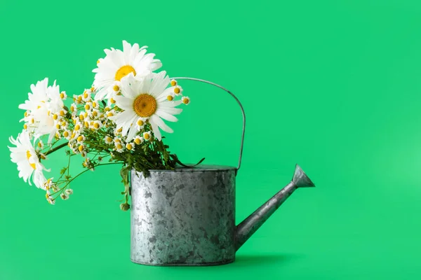 Watering Can Flowers Color Background — Stock Photo, Image