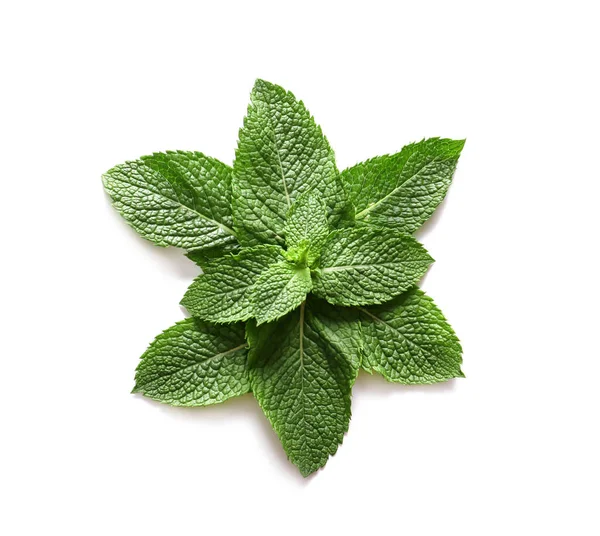 Menta Verde Fresca Sobre Fondo Blanco — Foto de Stock