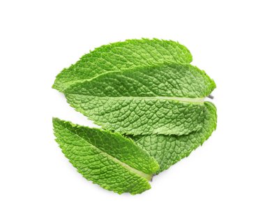 Beyaz arkaplanda taze yeşil nane