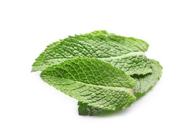 Beyaz arkaplanda taze yeşil nane