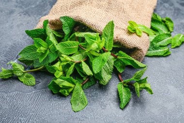 Gri arkaplanda taze yeşil nane