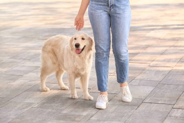 Dışarıda dolaşan sevimli köpekli genç bir kadın.
