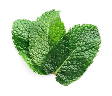 Beyaz arkaplanda taze yeşil nane