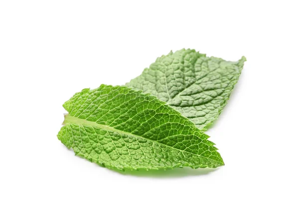 Fresh Green Mint White Background — Stock Photo, Image