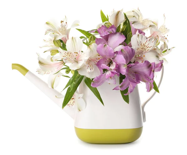 Ποτιστήρι Λουλούδια Λευκό Φόντο — Φωτογραφία Αρχείου