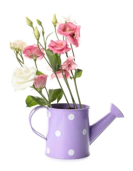 白い背景の花で散水缶 — ストック写真
