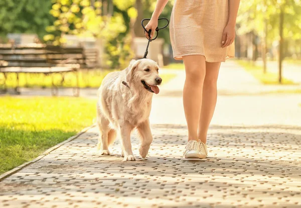 Mujer Joven Con Lindo Perro Paseando Parque — Foto de Stock