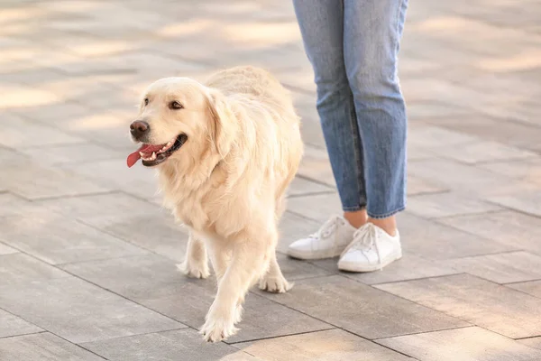 Mujer Joven Con Lindo Perro Caminando Aire Libre — Foto de Stock