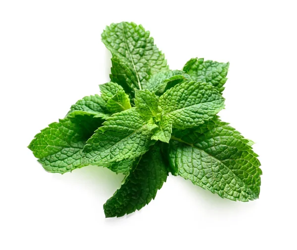 Menta Verde Fresca Sobre Fondo Blanco — Foto de Stock