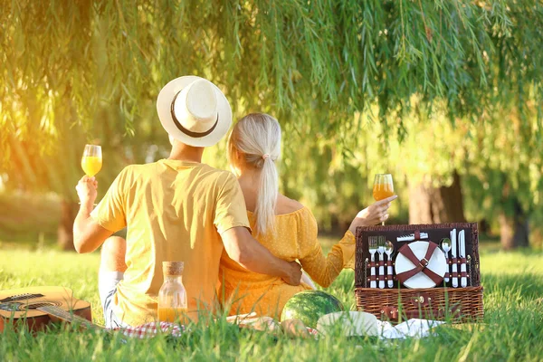 Happy Young Couple Picnic Park — Stock Photo, Image