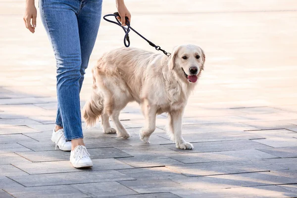 Young Woman Cute Dog Walking Outdoors — Stock Photo, Image