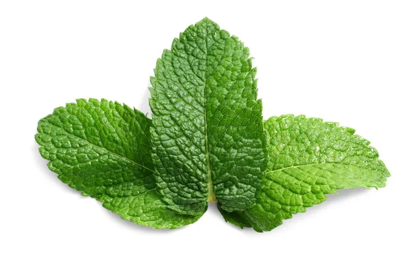 Menta Verde Fresca Sobre Fondo Blanco — Foto de Stock