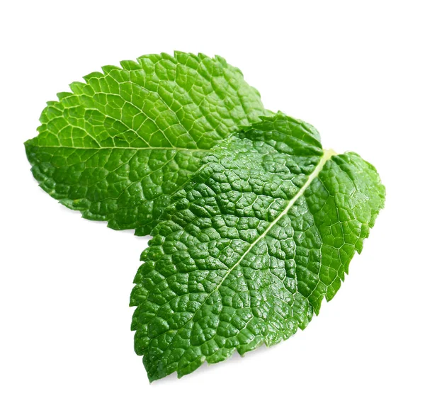 Fresh Green Mint White Background — Stock Photo, Image
