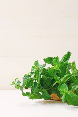 Açık arkaplanda taze yeşil nane.