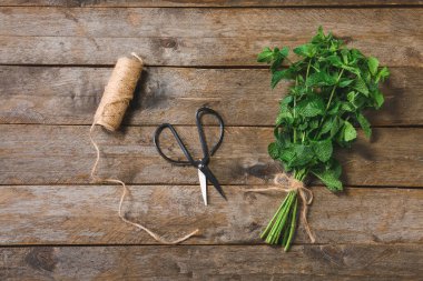 Taze yeşil nane, iplik ve makas ahşap arka planda