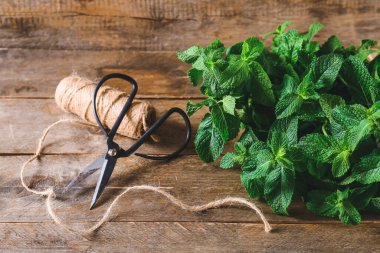 Taze yeşil nane, iplik ve makas ahşap arka planda