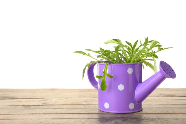 Watering Can Plant Table White Background — Stock Photo, Image