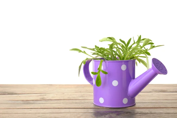 Regando Lata Com Planta Mesa Contra Fundo Branco — Fotografia de Stock