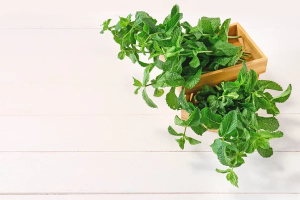 Menthe Verte Fraîche Dans Panier Sur Fond Clair — Photo