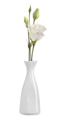 Beyaz arka planda çiçekli güzel vazo