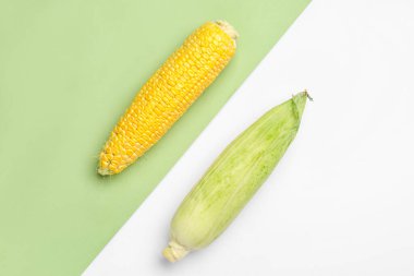 Renkli arkaplanda taze mısır koçanları