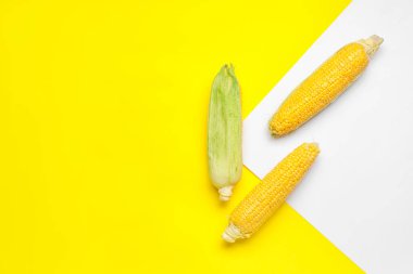 Renkli arkaplanda taze mısır koçanları