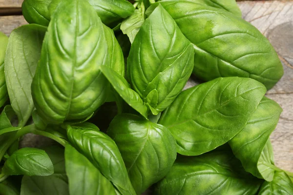 Fresh Basil Table Closeup — Stock Photo, Image