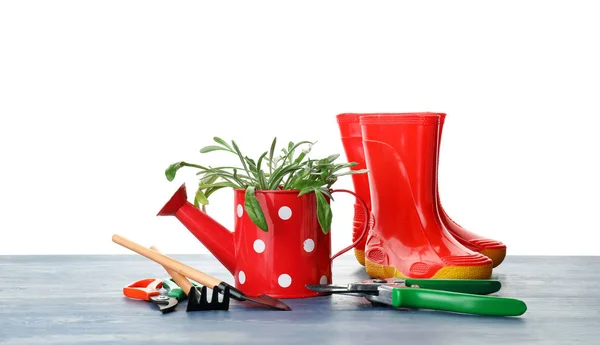 Gardening Tools Table White Background — Stock Photo, Image