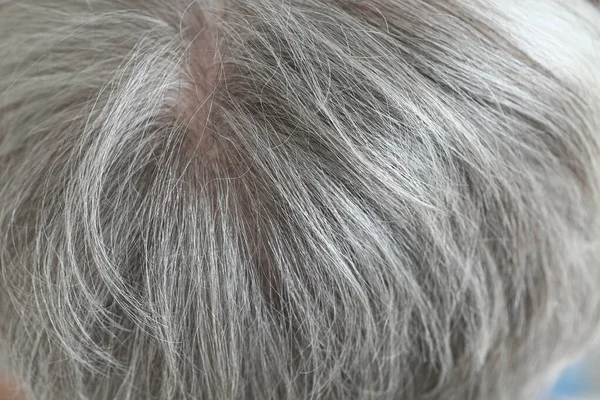 Grey hair of old human, closeup