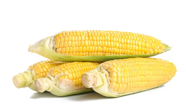 Fresh Corn Cobs White Background — Stock Photo, Image