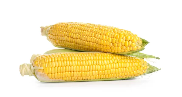 Fresh Corn Cobs White Background — Stock Photo, Image