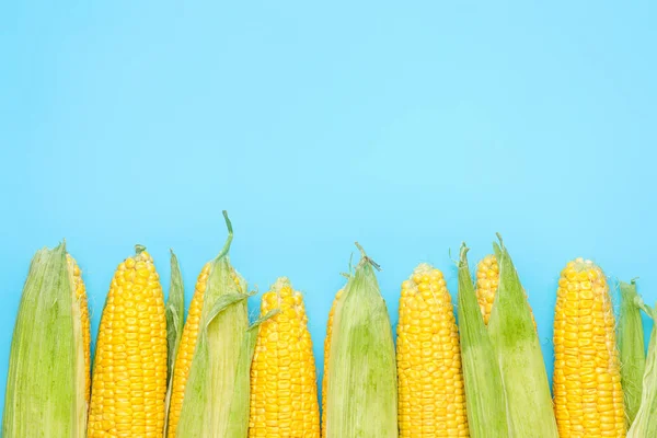 Fresh Corn Cobs Color Background — Stock Photo, Image