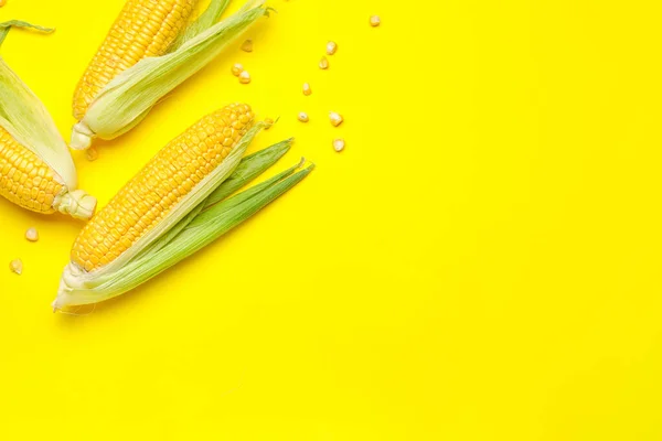 Fresh Corn Cobs Color Background — Stock Photo, Image